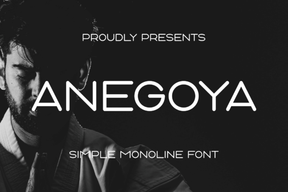 Anegoya Font: Elevating Small Business Branding