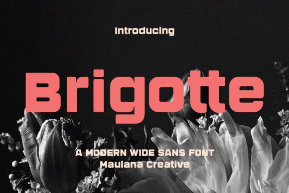 Brigotte Font: A Modern Sans Serif for Bold Branding