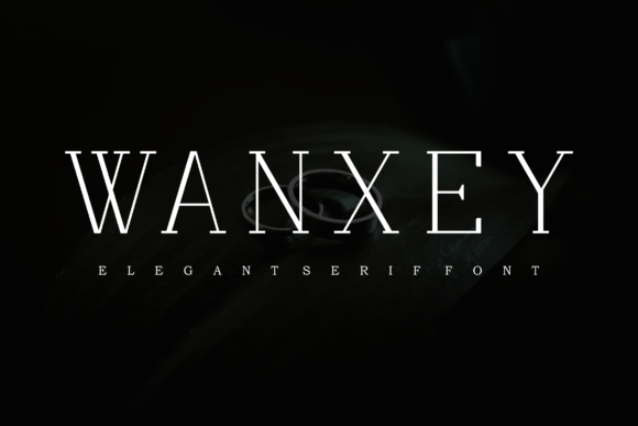 Wanxey Font: Elegant Script for Handmade Products